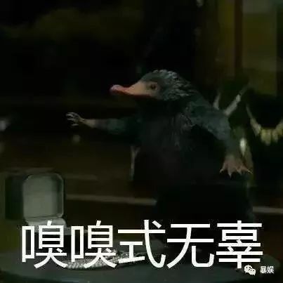 所谓哈迷的狂欢不过是失望之极下的*慰自**｜影评