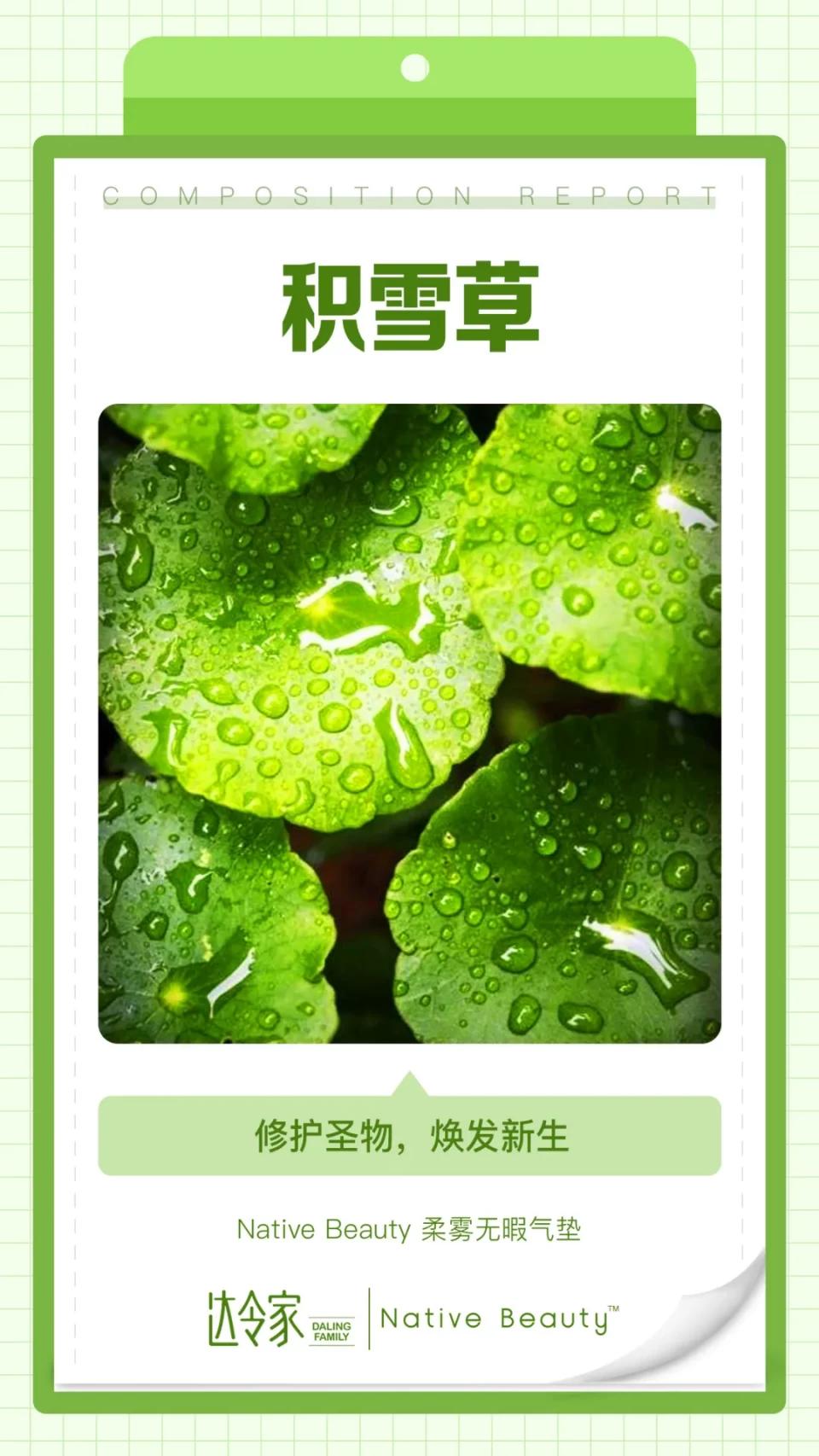 全方位体贴,达令家NativeBeauty柔雾无暇气垫比男友还周到