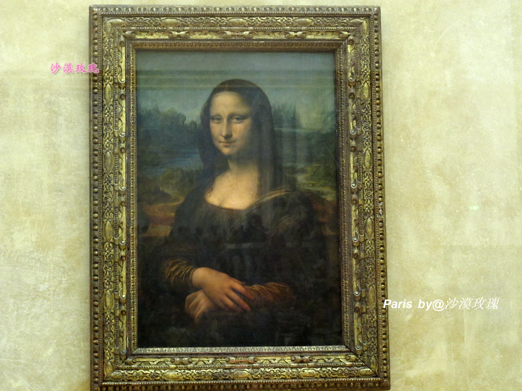 法国卢浮宫纪念达芬奇,达芬奇与法国国王