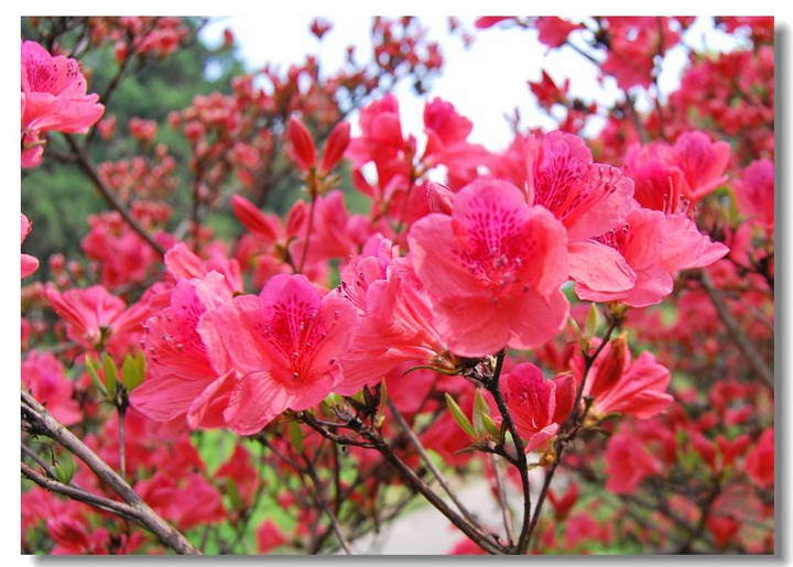 中国历史上的射雕英雄人物,射雕英雄传人物的遗憾