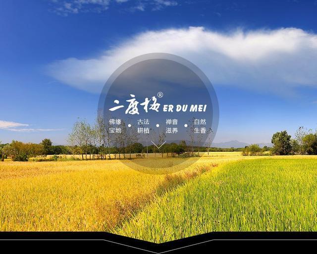 康宏粮油集团有限公司,康宏粮油合作社