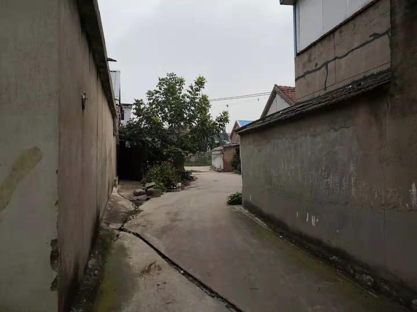 邳州古镇天气预报,邳州古镇宿羊山