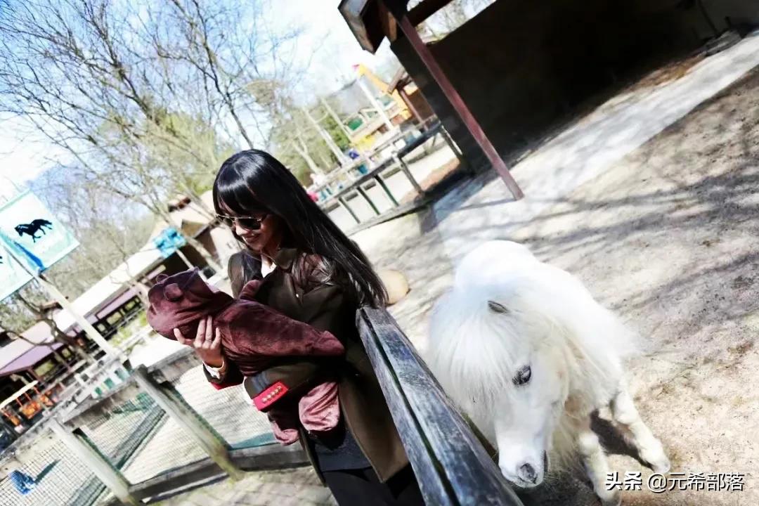 芝加哥周边小城旅游攻略,芝加哥旅游路线地图