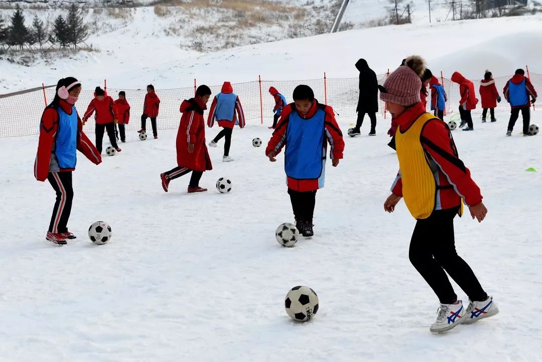 亲爱的黑龙江游客，开往吉林的G48次列车即将启程……