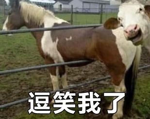 哪些不看歌词听起就很奇葩的歌,那些很奇葩的歌