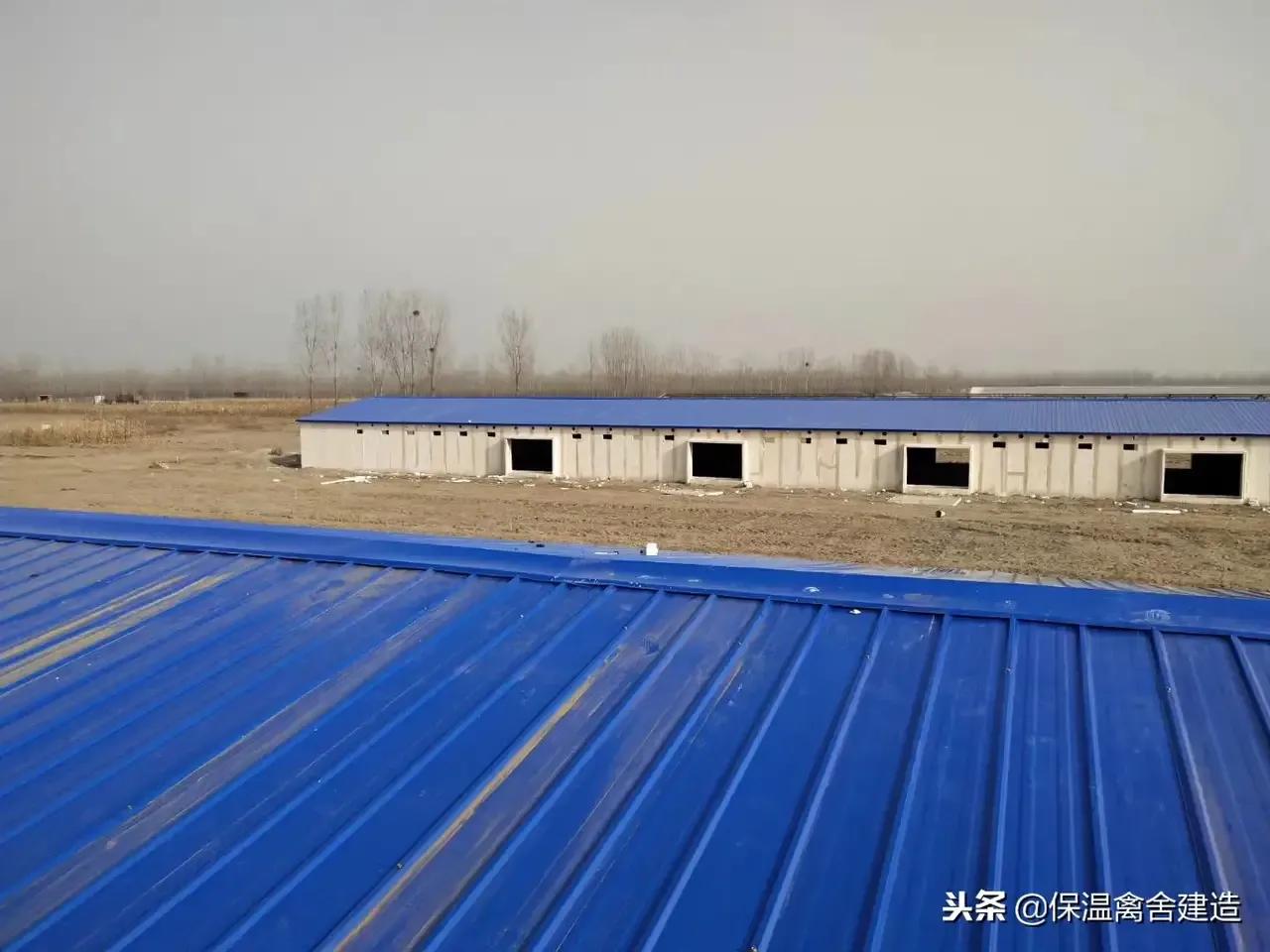 彩钢保温鸡舍建造方法,怎样建简单的鸡舍