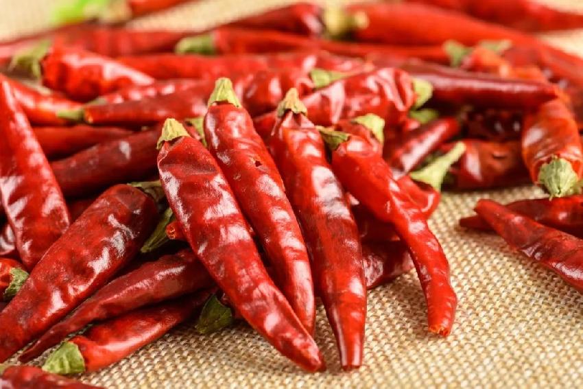 辣椒传入中国之前用什么做香辛料,辣椒传入中国之前古人吃什么辣