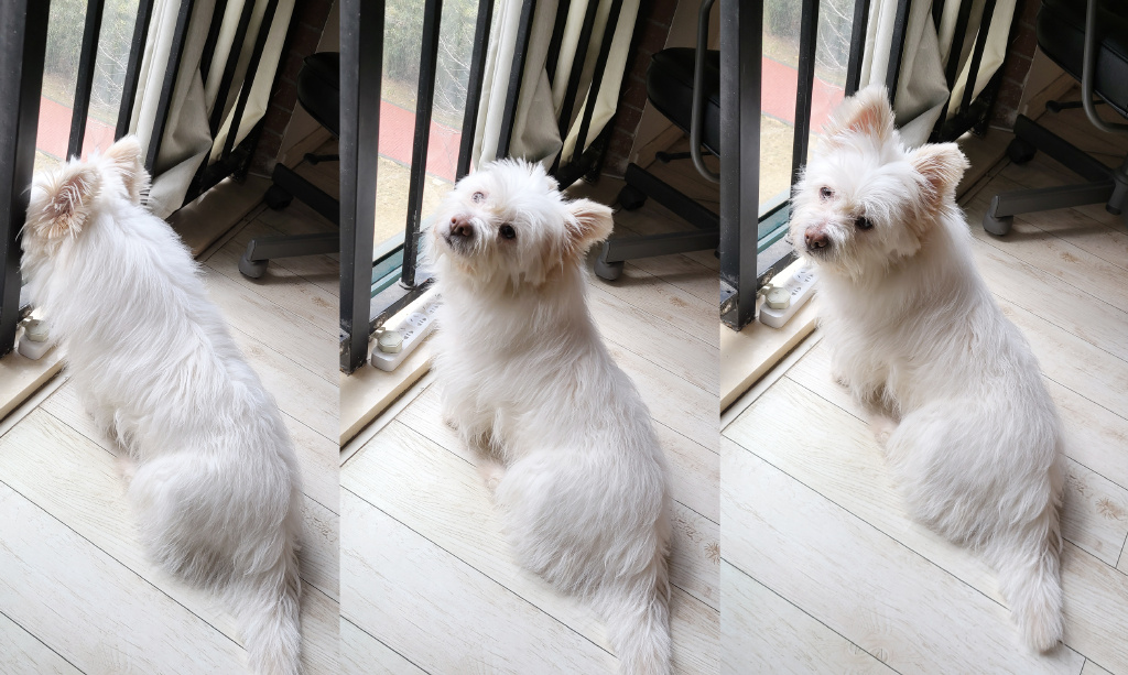 大吐槽：“快住手啊，他们说的3P不是这个意思”