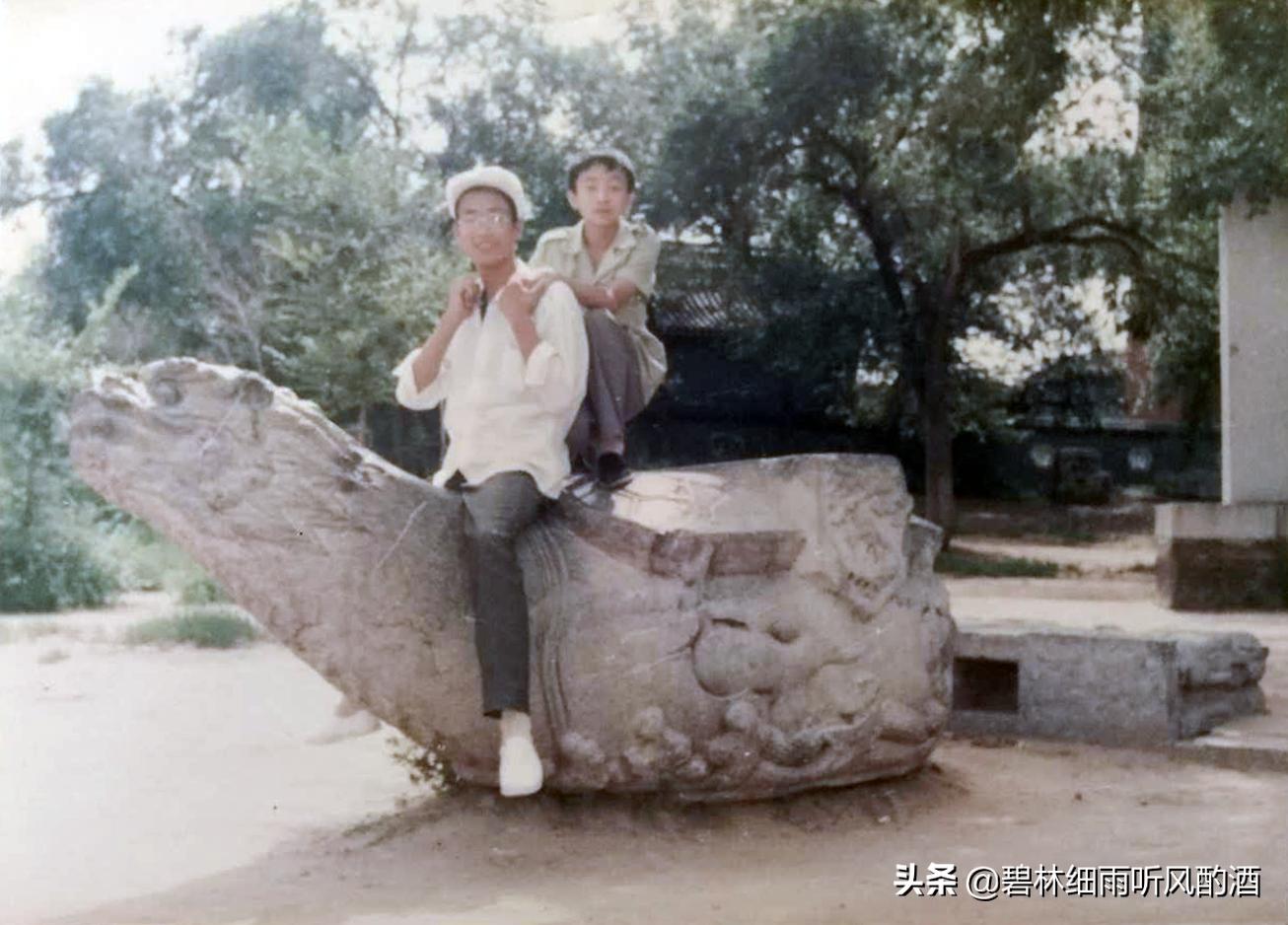 齐齐哈尔龙沙公园里的“石龟”，我要还它真面目