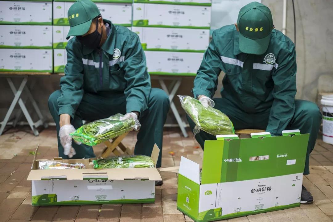 品牌战役宣传片,品牌战役宣传报道