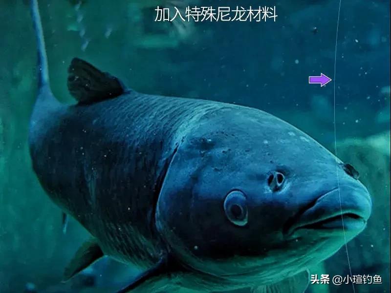 鱼线该怎么选,鱼线强度怎么选