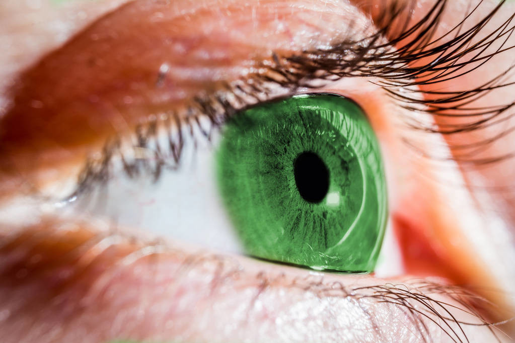 京东方，吃钱的巨兽