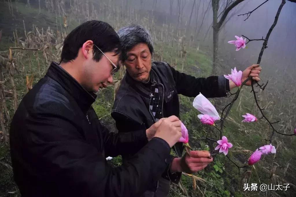 花博士五福系列,花博士花艺生活