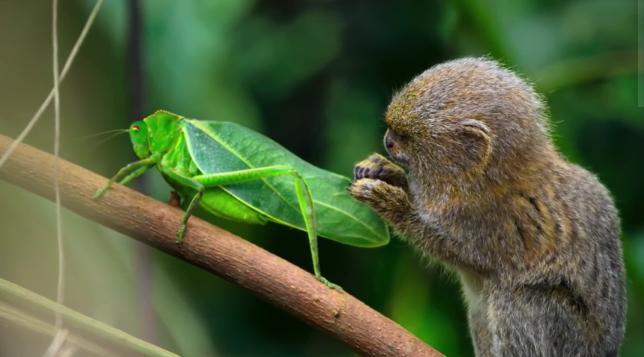爽啊，一波爆炸！春节假期终于可以彻夜狂欢（上）