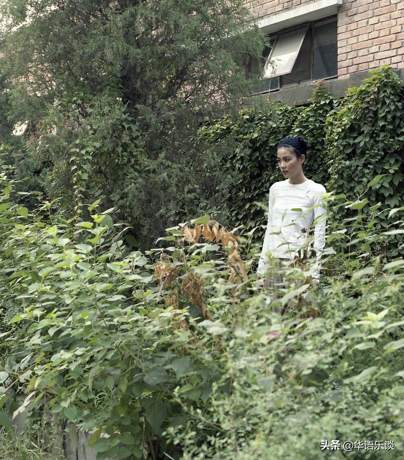 19岁歌迷投资百万为王菲出专辑，圆菲迷一个18年的梦