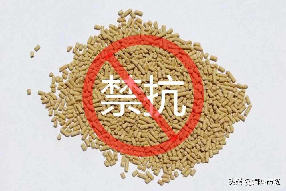 未来饲料行业的趋势2020年,2020年饲料行业卷首语