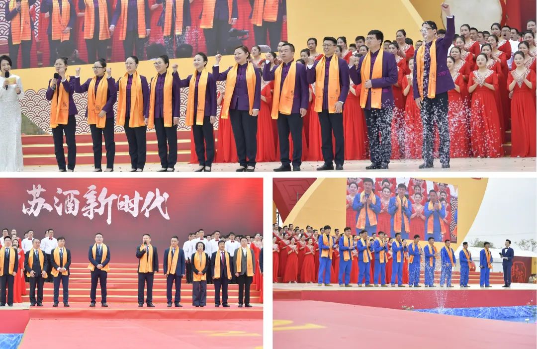 双沟珍宝坊酒是名酒吗多少钱一瓶,湿地珍宝