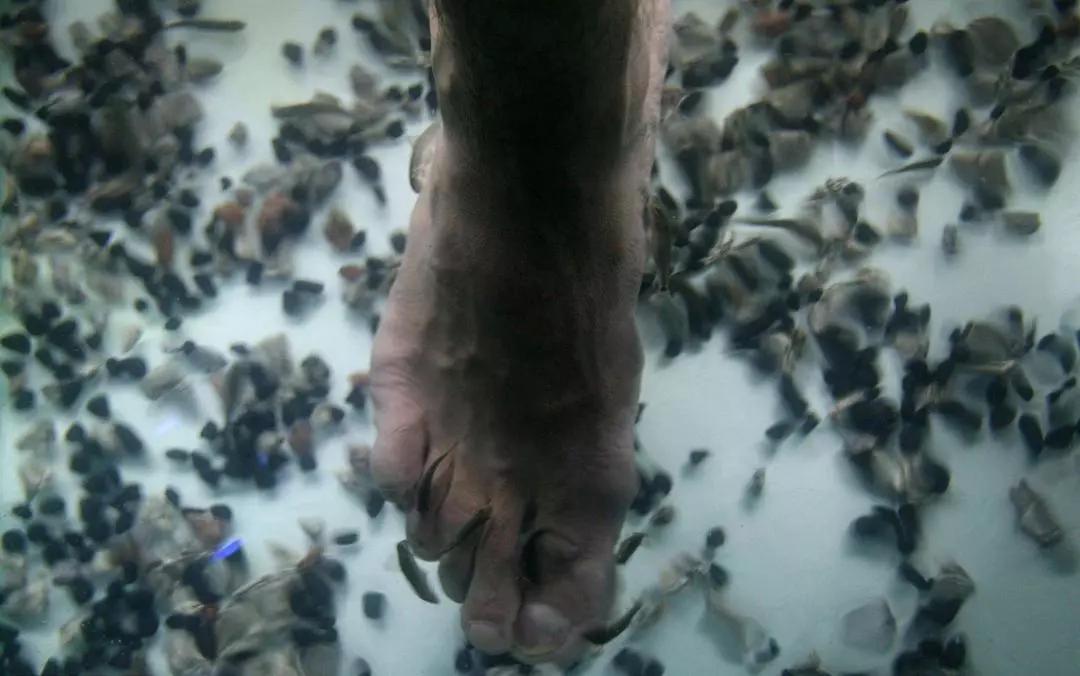 袜子裤头可以一起机洗吗,袜子和裤袜能一起洗吗