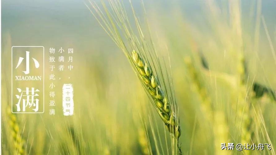 小满未满小得盈满,小满知足盈满常乐