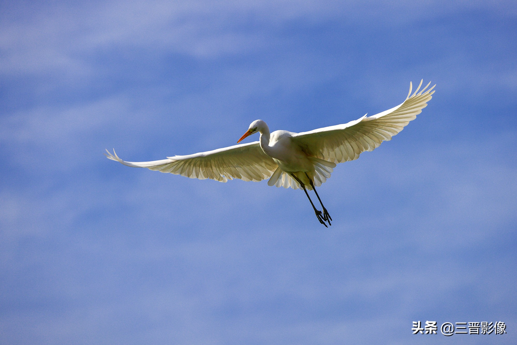 佳能r5转接佳能ef50l拍摄的作品,佳能r5转接ef镜头感觉没有5d4清晰