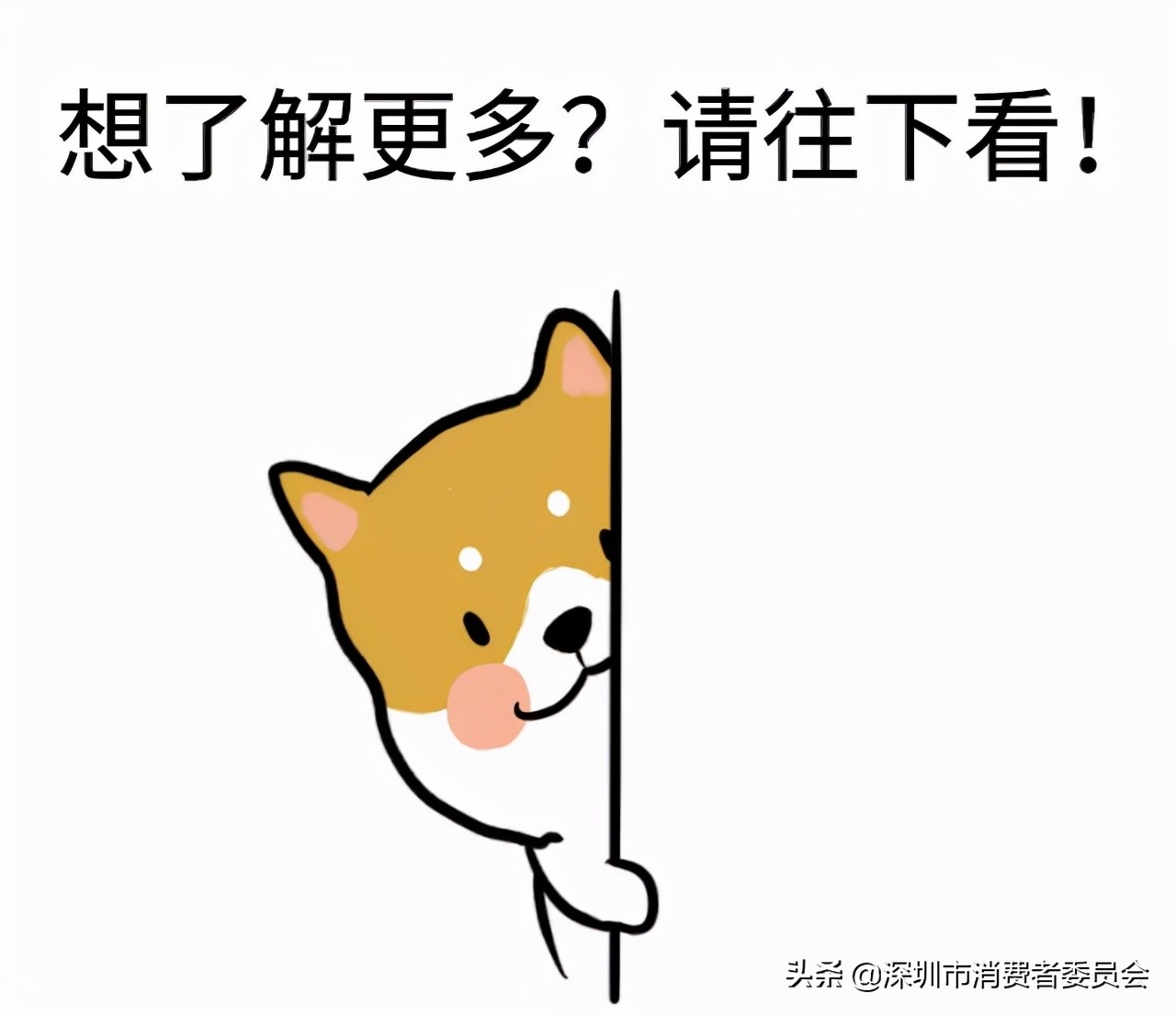 无线充电宝选哪一款,无线充电宝排名第一名测评