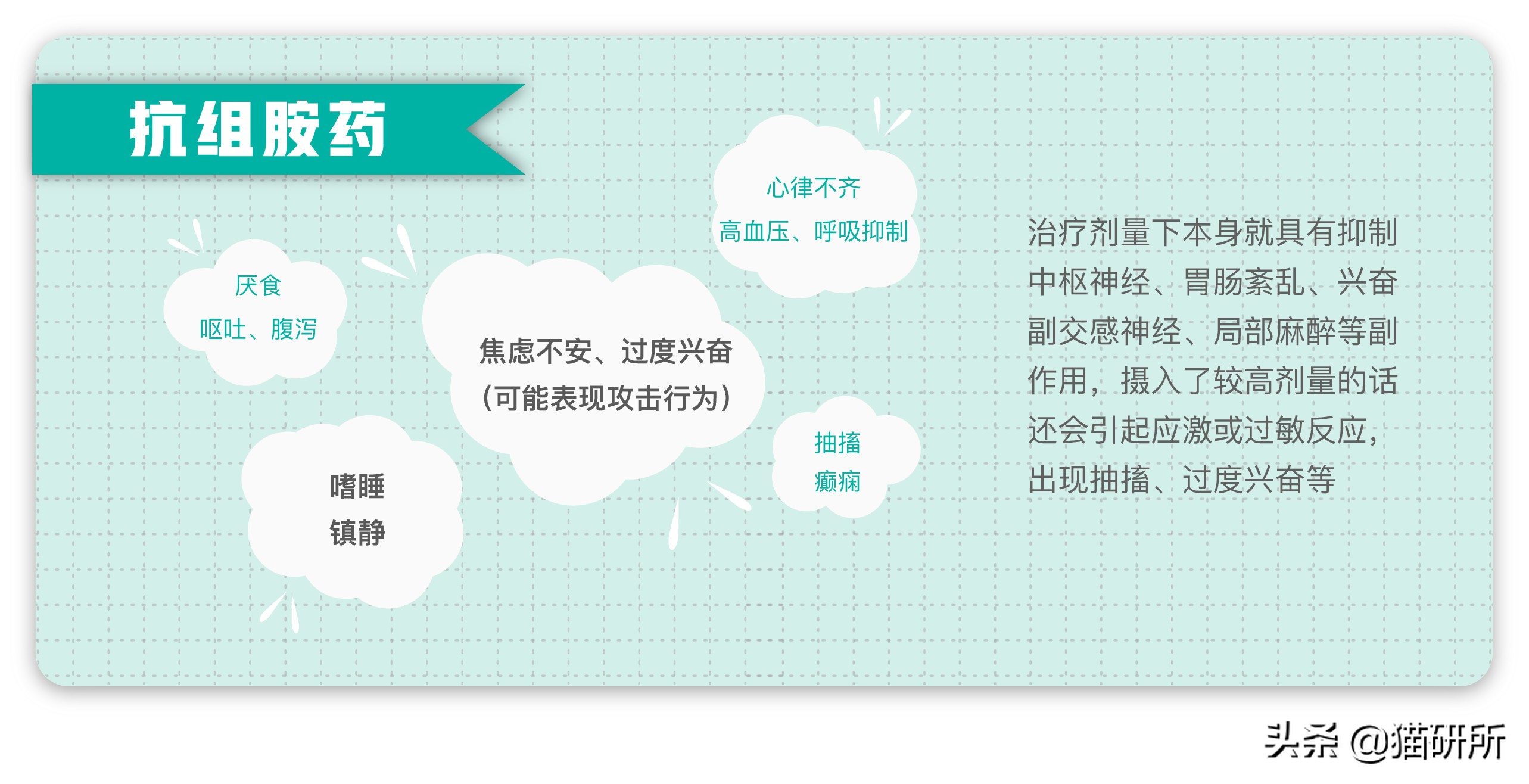 有人给猫下毒会不会有毒,猫能吃人用感冒药吗