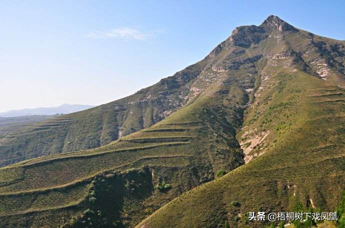 百年*物文**外流第一案新说：为集资办学卖掉唐太宗昭陵前“两匹马”