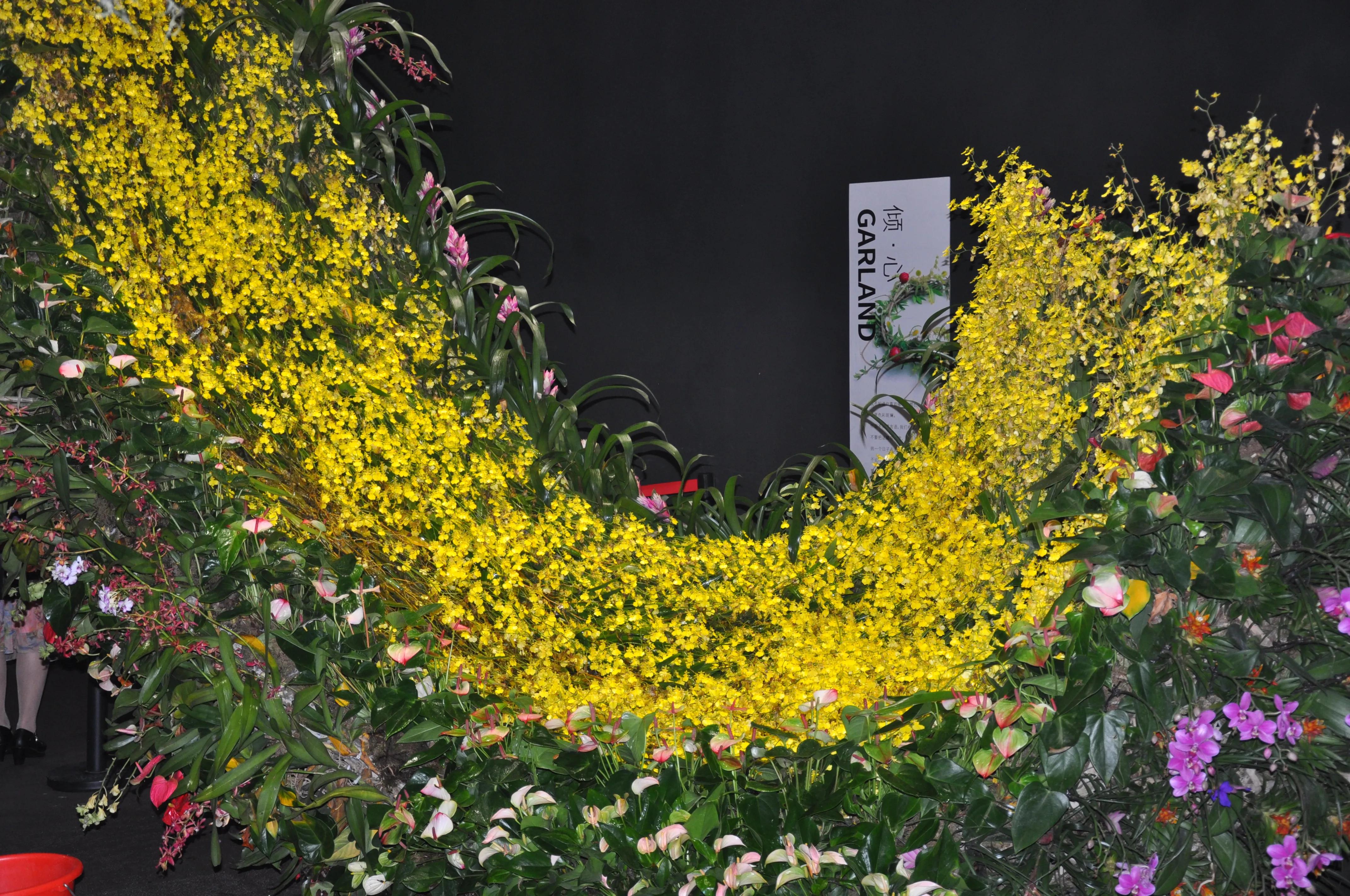 漳州东南花都花博会巡游,花博会花神巡游打卡