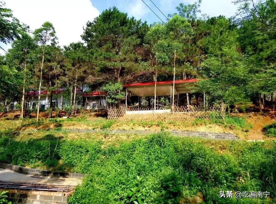 南宁农家乐烧烤地点推荐,南宁市周边农家乐窑鸡