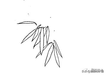图文教程竹子画法,怎么画竹最简单最好看