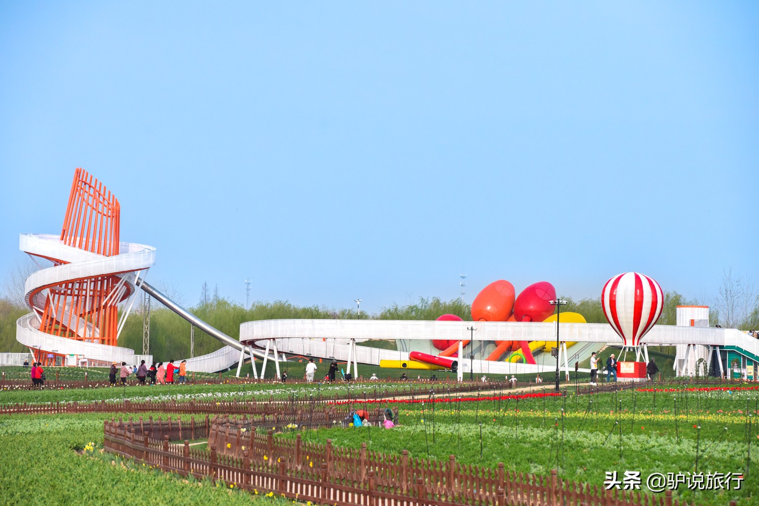 郁金香中国,中国郁金香第一花海