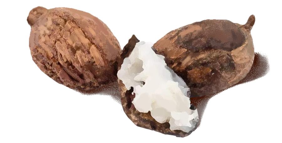 能够代替水乳精华面霜的护肤品,能代替精华的水乳