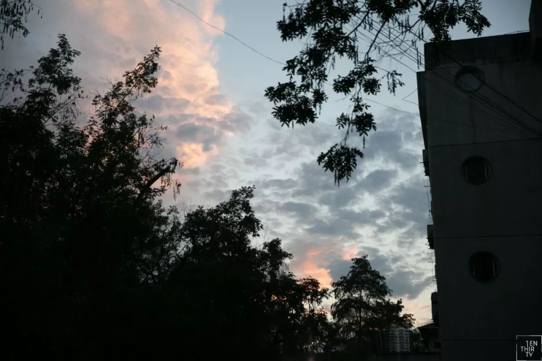 武汉大学必吃,武大校园美食攻略