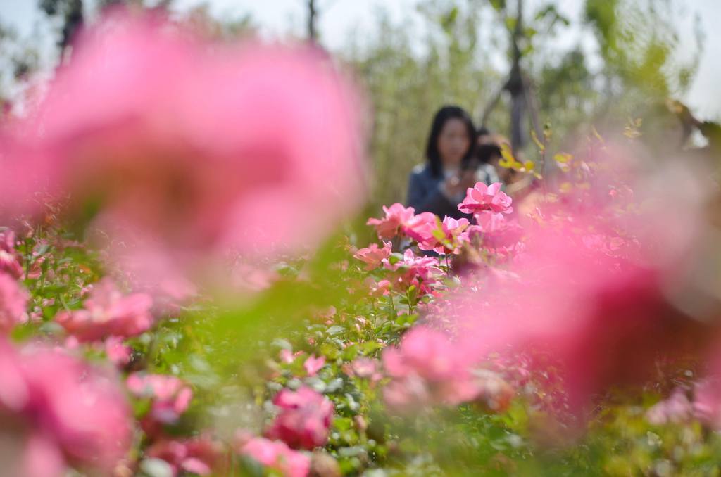 济源滨湖花园燃气,济源思礼镇滨河花园