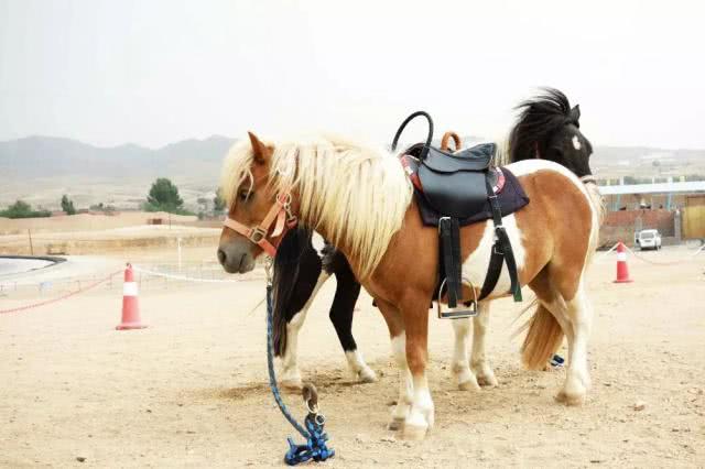 内蒙好看的景点,内蒙旅游景点推荐网红一日游