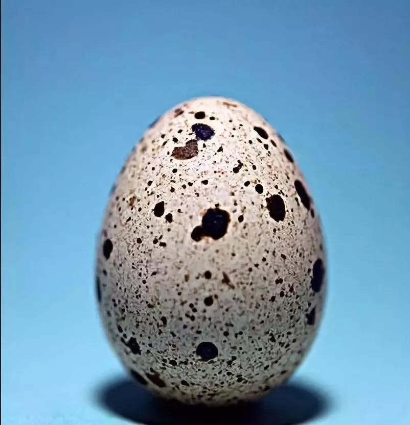 男生脸上的雀斑怎样快速去掉,小孩脸上有雀斑怎样才能去掉