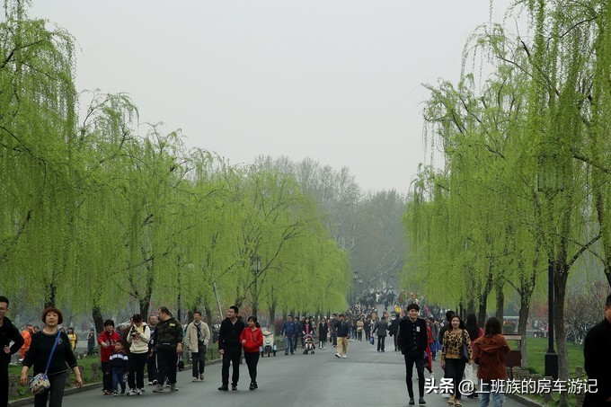 周末微旅行：秦望山麓访名校，白沙堤岸醉桃柳（第二季）