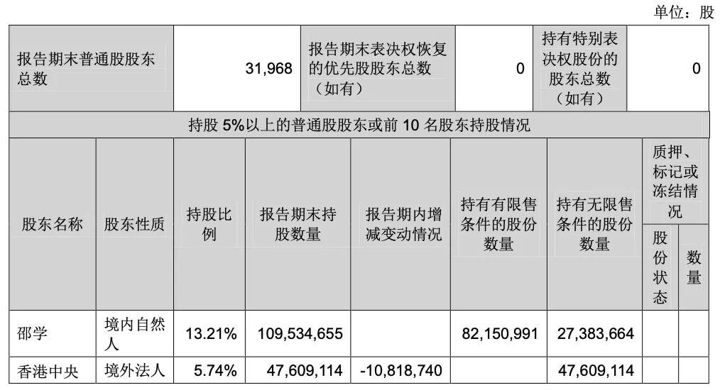 华宇软件被深交所公开谴责,华宇软件及时任董事长被谴责