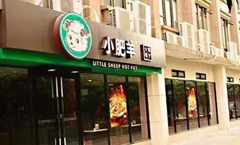 小肥羊火锅经营现状,小肥羊现状如何