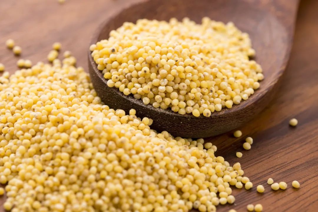 “我五谷不分。”“没关系，大家都分不清。”