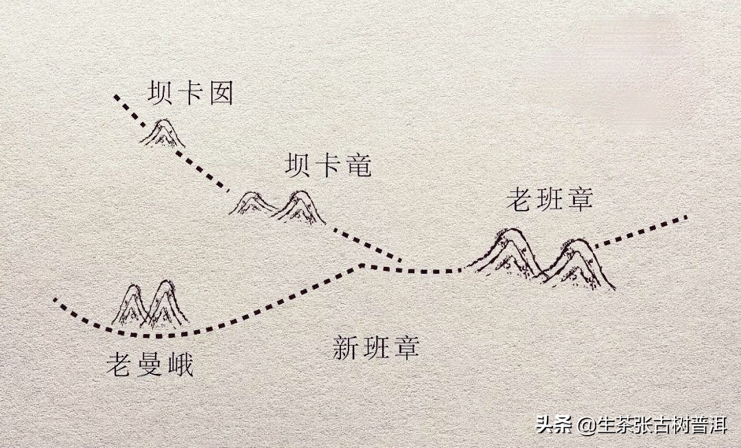 班章五寨的茶特点口感,冰岛五寨和班章五寨位置