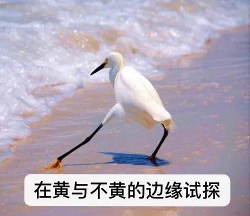 长春巴黎春天商场现状,长春巴黎春天现在还开吗