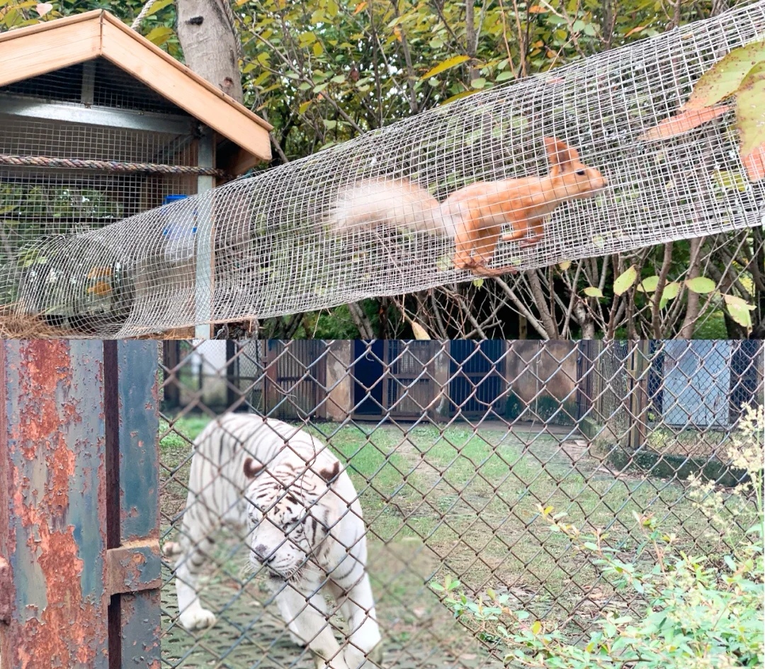 合肥周边亲子自驾游推荐景点,合肥亲子室内一日游攻略