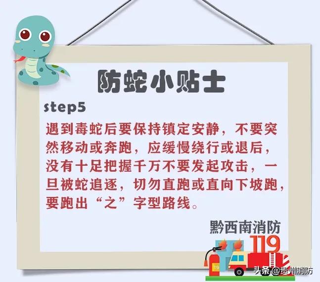 2米长蛇闯入房间,3米长蛇闯进浴室