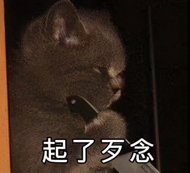 发量增多的实用小技巧,发量超级少的女生咋办啊