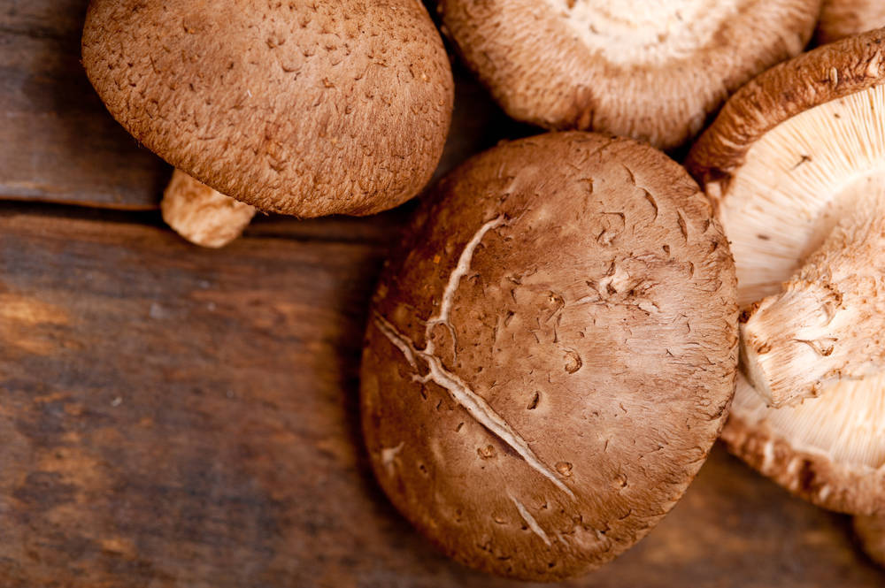 鎬庢牱绉嶆棣欒弴,绉嬫牻棣欒弴绉嶆