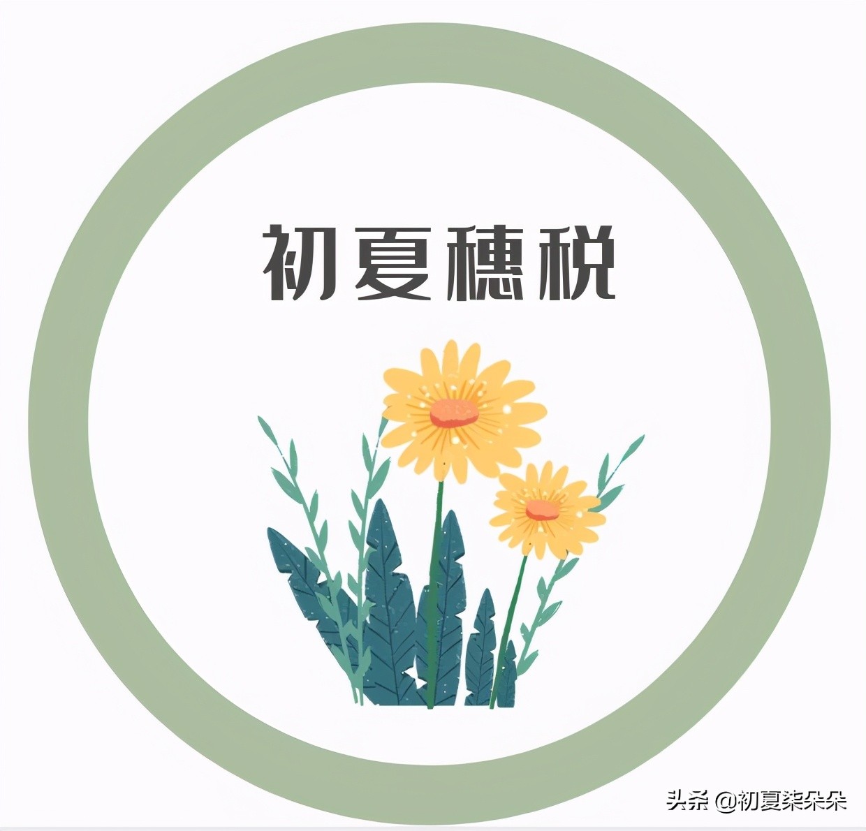 佣金提现出现纳税怎么去操作,橱窗佣金提现要纳税怎么办理