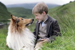 当英国的狗碰上阿根廷总统，宠爱到了极点！有谁还记得英阿世仇？