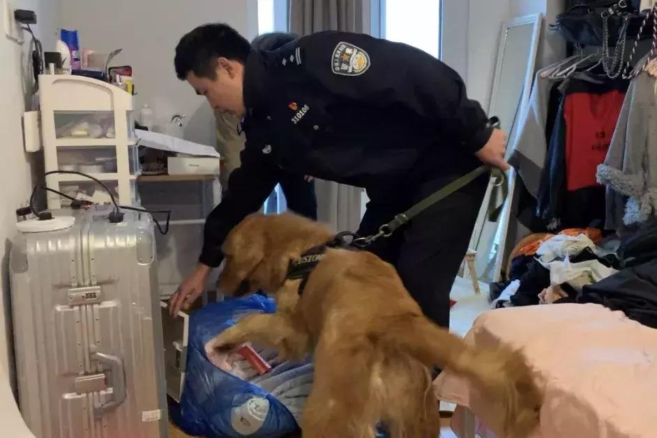 世界禁毒日相关视频 (国际禁毒日结局)