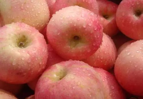 陕西红富士水果,新鲜红富士让您吃得放心